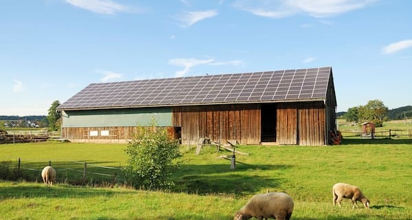Paneles solares en una granja